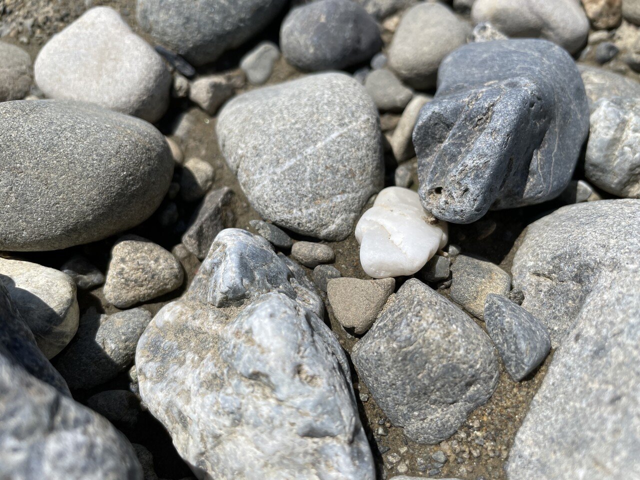 多摩川で石を拾いたい Njrecalls Note 多摩川で石を拾いたい Njrecalls Note