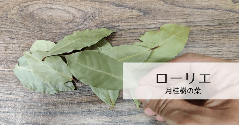 月桂樹 の新着タグ記事一覧 Note つくる つながる とどける 月桂樹 の新着タグ記事一覧 Note つくる つながる とどける
