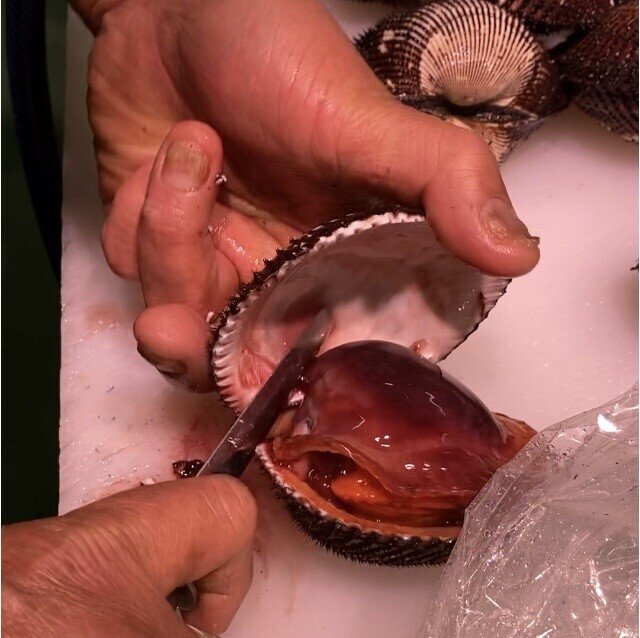 二枚貝の剥き方 おさかなマイスター神谷 Note