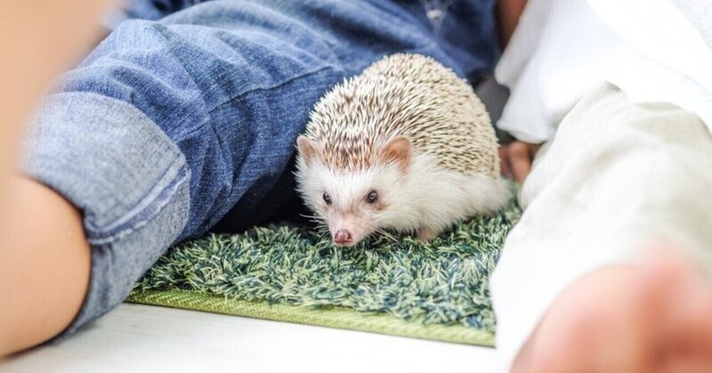 人を選ぶとき 家族を大切にしている人は間違いない 仁者に敵なし 私は人を使うときには 知恵の多い人より人情に厚い人を選んで採用している by 渋沢栄一 日々 徒然なるままに by 中原信一郎 ドスコイ中原 note