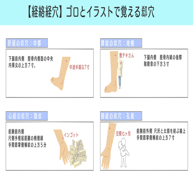 経絡経穴 図解 イラスト とゴロあわせで簡単に覚える 正経十二経脈 郄穴の取穴部位一覧 森元塾 国家試験対策 Note