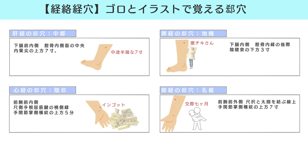 経絡経穴 図解 イラスト とゴロあわせで簡単に覚える 正経十二経脈 郄穴の取穴部位一覧 森元塾 国家試験対策 Note 経絡経穴 図解 イラスト とゴロあわせで簡単に覚える 正経十二経脈 郄穴の取穴部位一覧 森元塾 国家試験対策 Note