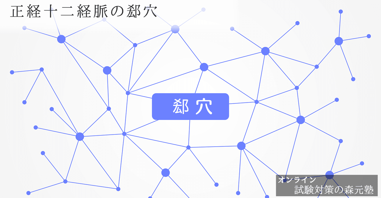 経絡経穴 図解 イラスト とゴロあわせで簡単に覚える 正経十二経脈 郄穴の取穴部位一覧 森元塾 国家試験対策 Note