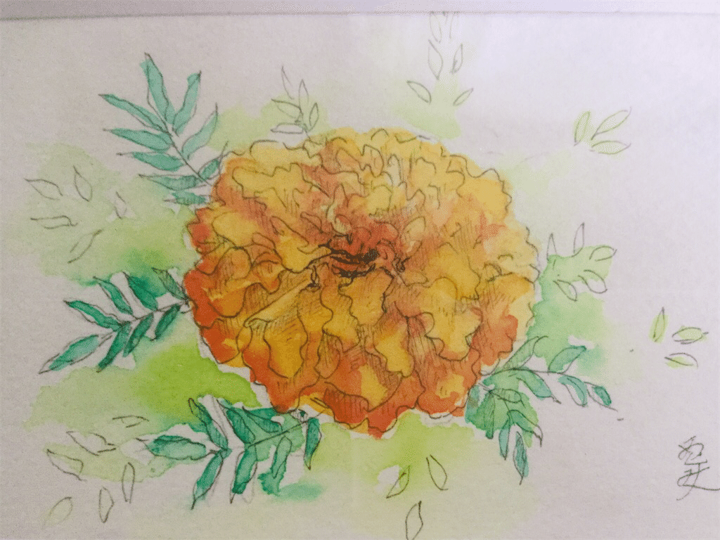 ✨MAGIC for MARIGOLDマリゴールドの魔法✨1929年✨初版本