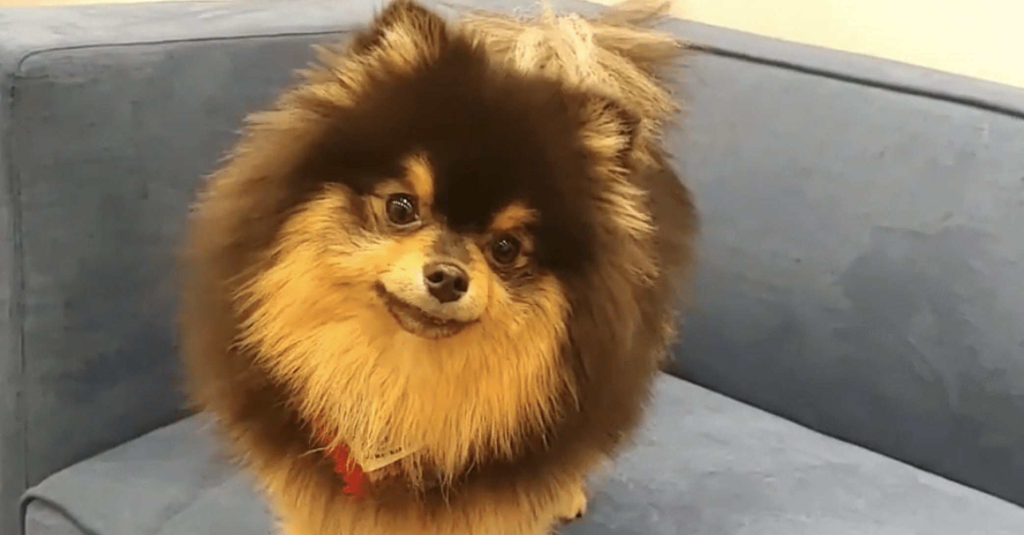 BTS：ヨンタン｜T-Crown