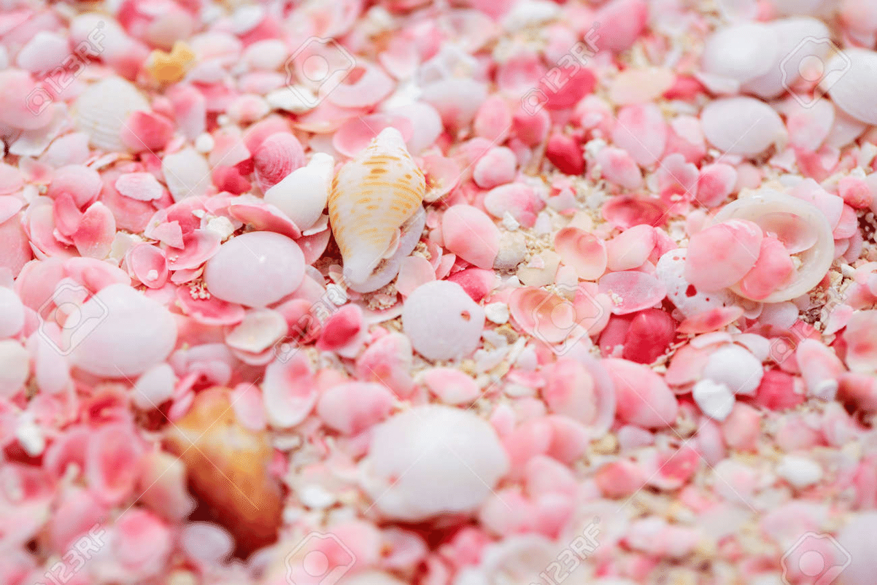 Noteで旅行中 バハマ V O 3 世界の幸せの食べます Note Noteで旅行中 バハマ V O 3 世界の幸せの食べます Note