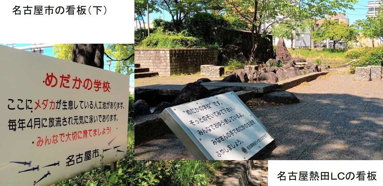 めだかの学校」～善意に見守られて熱田の街で35年｜荒玉にしむら公秀