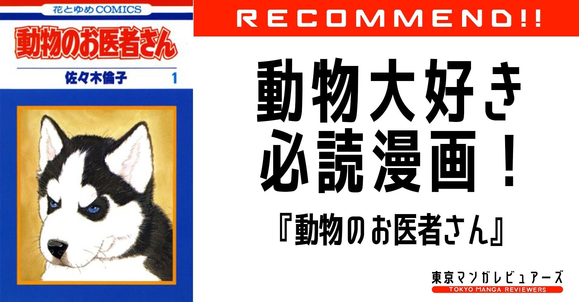 動物が死なないハッピー獣医漫画を読んだらやりたくなる4つのこと 動物のお医者さん 東京マンガレビュアーズ Note 動物が死なないハッピー獣医漫画を読んだらやりたくなる4つのこと 動物のお医者さん 東京マンガレビュアーズ Note