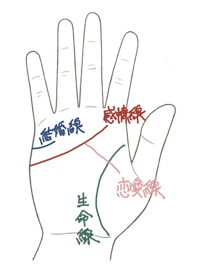 恋愛線であなたの恋愛運を観ることができます 3 Michiaki Note 恋愛線であなたの恋愛運を観ることができます 3 Michiaki Note