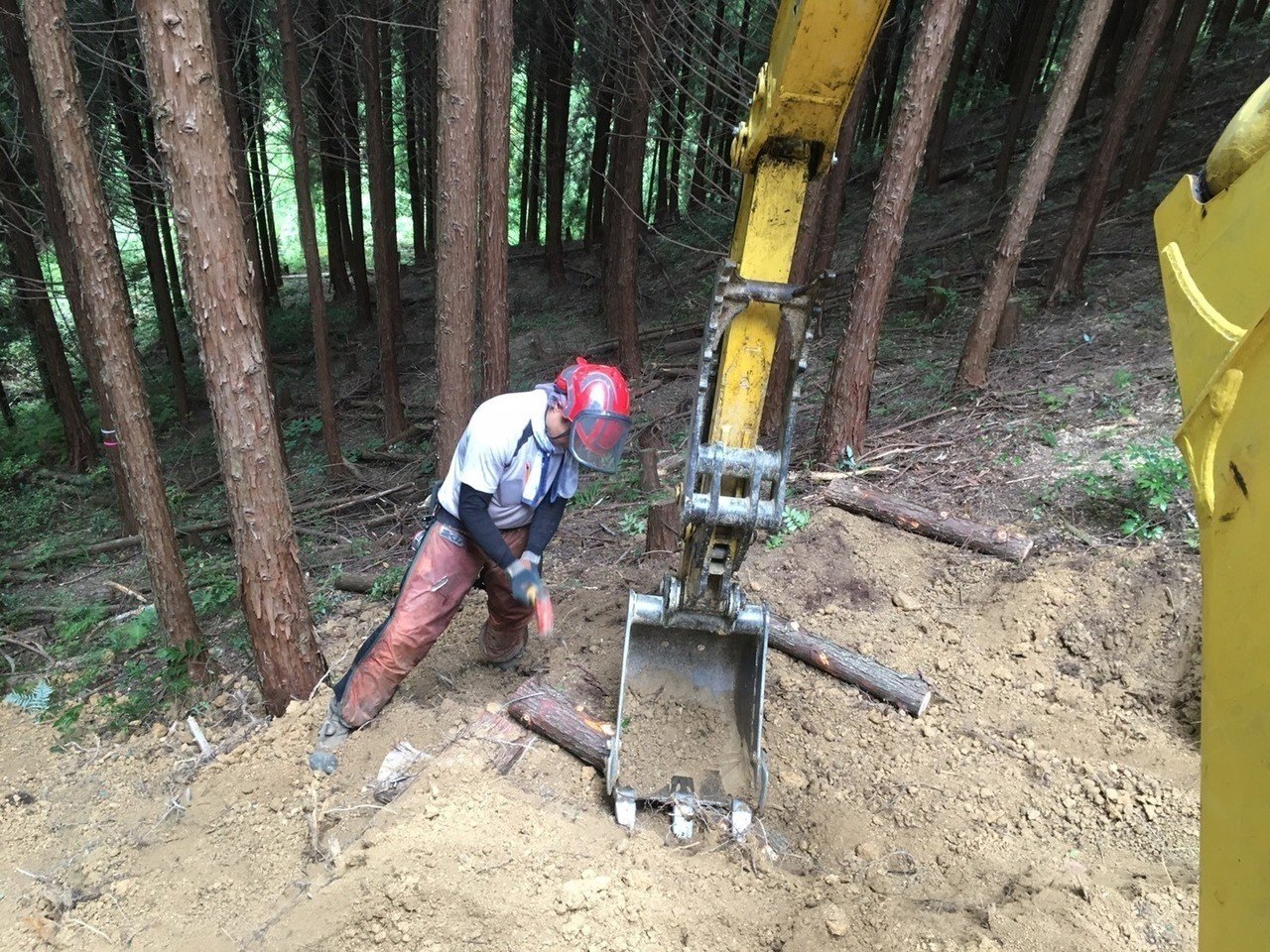 壊れない作業道づくりで使っている重機「バックホー」「キャタトラ」「林内作業車」｜津和野ヤモリーズ