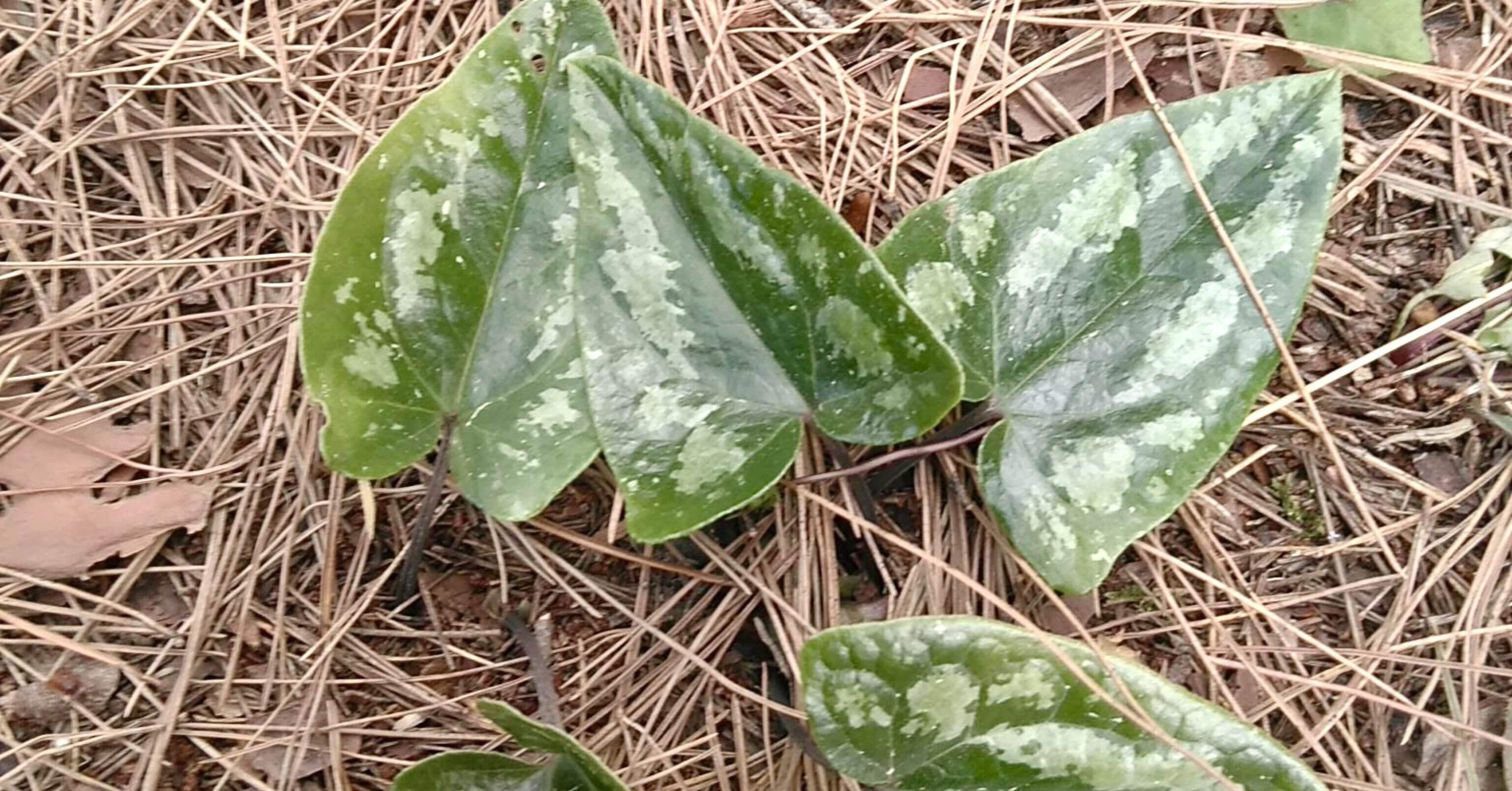 b892266aac118da2582eb2e5fdb162