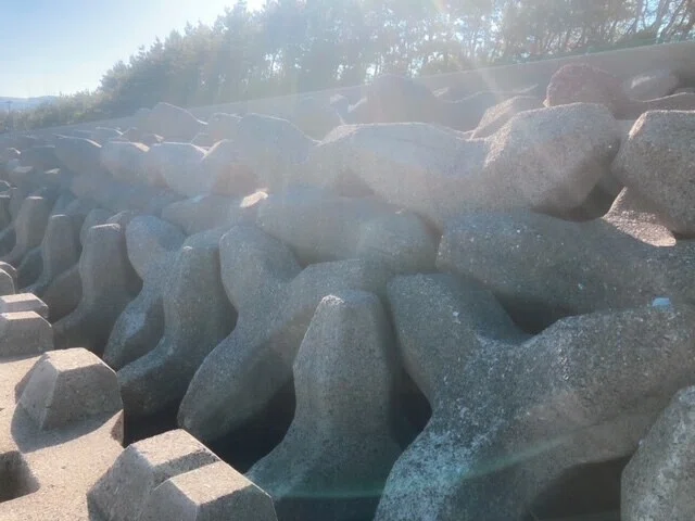 画像8