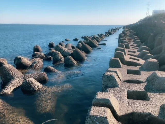 画像8