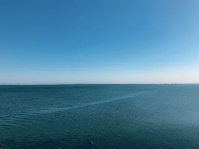 画像13
