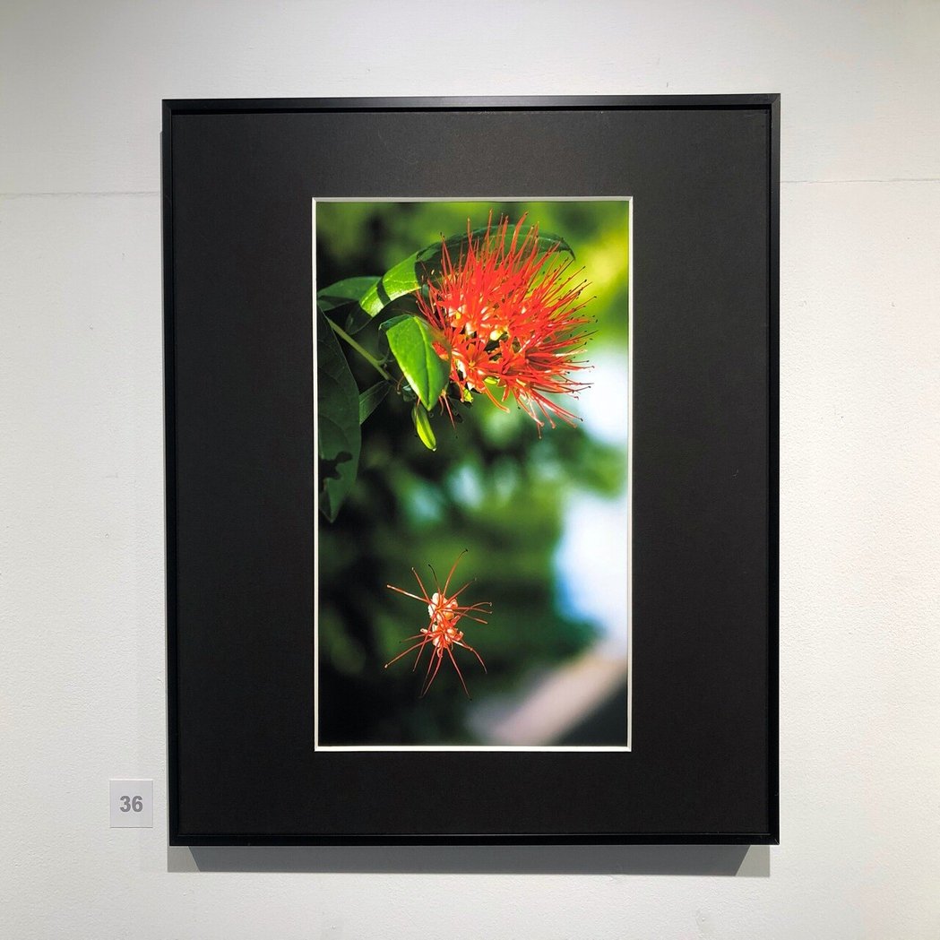 写真展 ハナテン Vol 総括 松永 亨 Note