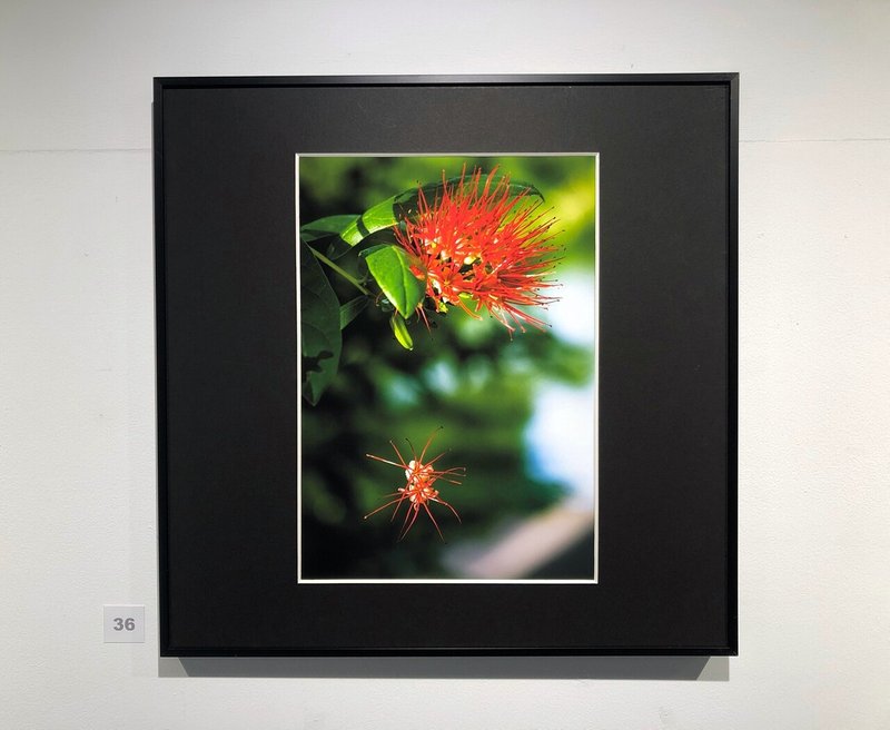 写真展 ハナテン Vol 総括 松永 亨 Note