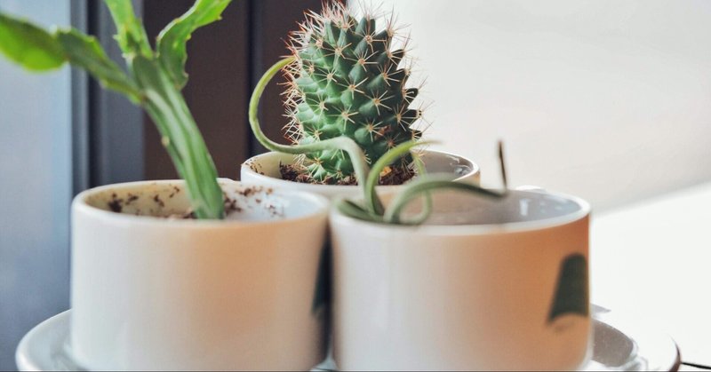 暮らしの音を他人と共有する穏やかな日々について Mayu K Note