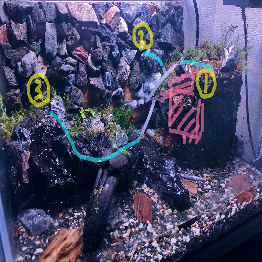 チューブが詰まって湧水が出なくなったアクアテラリウムをリセットして メンテナンスしやすいイモリウムを作った話 オオツボマコト 33cha Note
