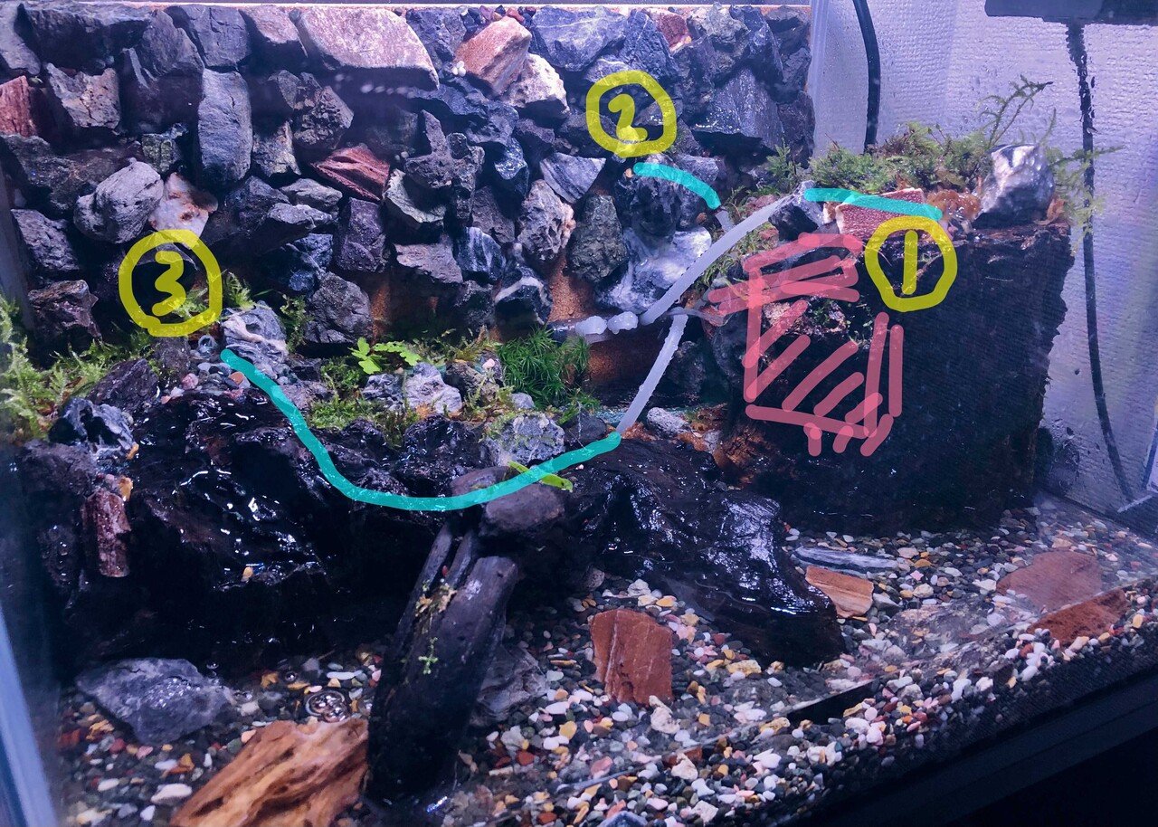 チューブが詰まって湧水が出なくなったアクアテラリウムをリセットして メンテナンスしやすいイモリウムを作った話 オオツボマコト 33cha Note チューブが詰まって湧水が出なくなったアクアテラリウムをリセットして メンテナンスしやすいイモリウムを作った話 オオツボマコト 33cha Note