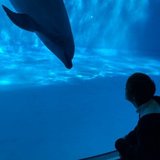 水族館巡り