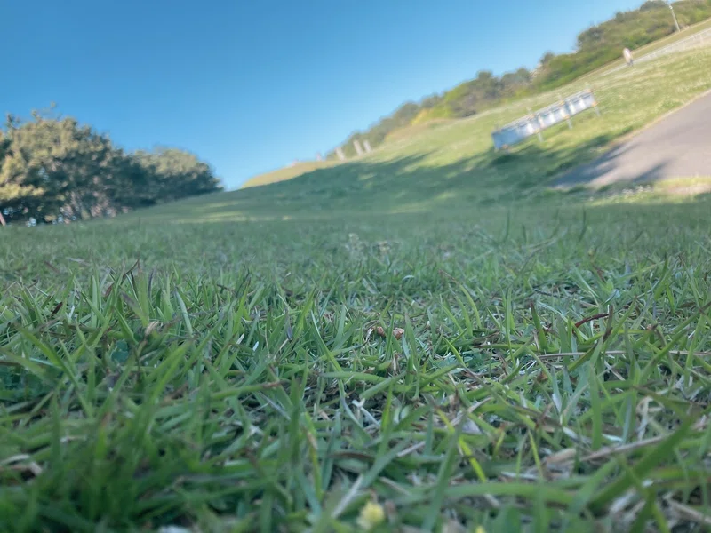 画像14