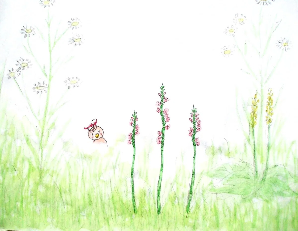 画像7 - コピー