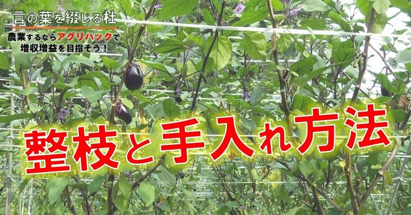 第49話 ナスの支柱立てから整枝まで Mc Kammer 編集者 農業漫画と映画を作ります ファンドマネージャー データサイエンティスト Note 第49話 ナスの支柱立てから整枝まで Mc Kammer 編集者 農業漫画と映画を作ります ファンドマネージャー データサイエンティスト Note