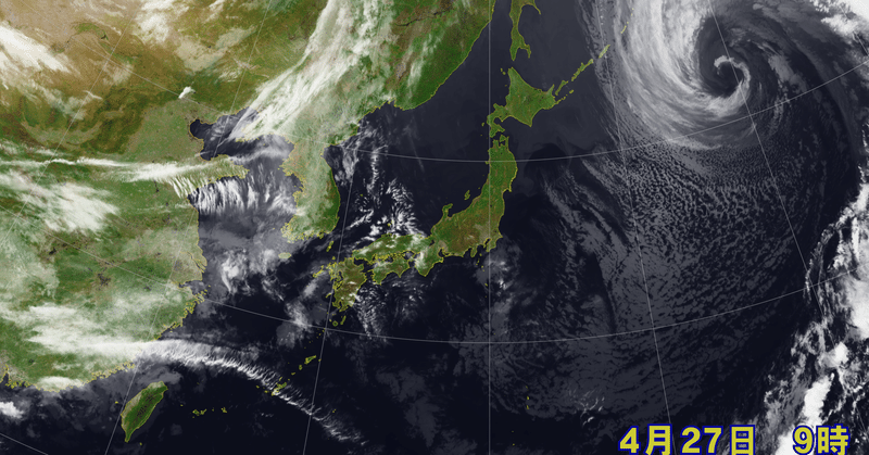 貴重な日差し