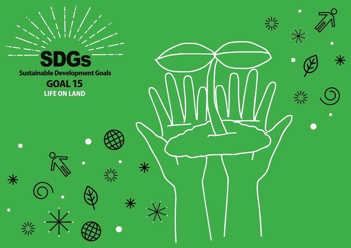 Sdgsの目標15のためにできることをわかりやすく紹介します Sdgsmedia Note Sdgsの目標15のためにできることをわかりやすく紹介します Sdgsmedia Note