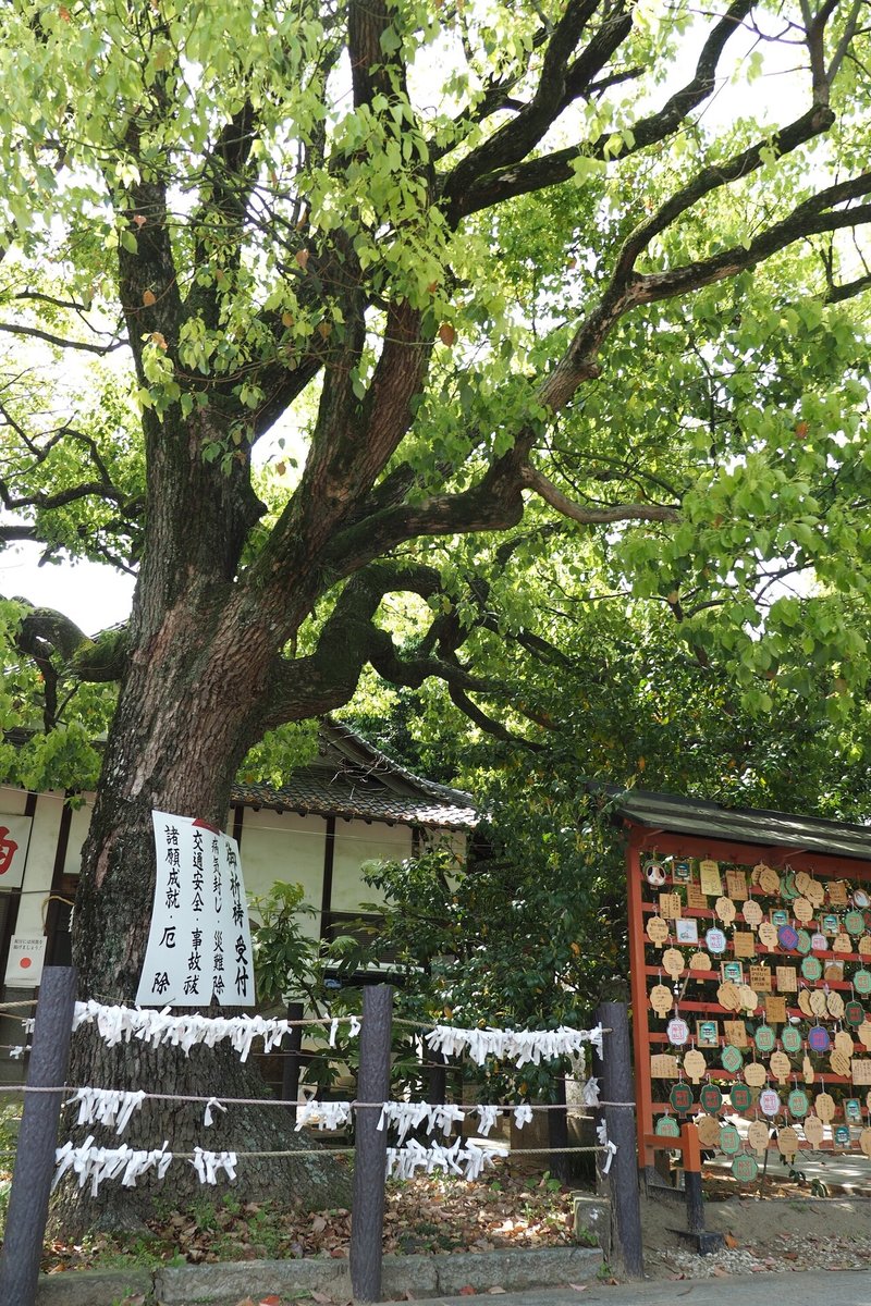 20210423等乃妓神社まで (7 - 10)