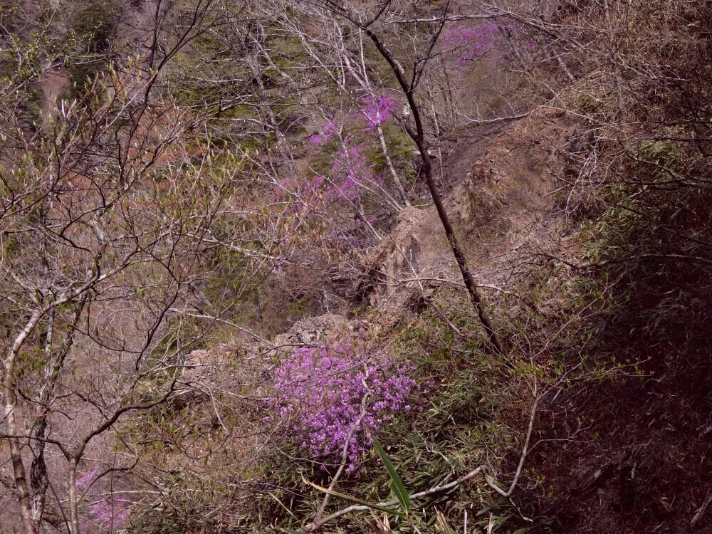 画像11