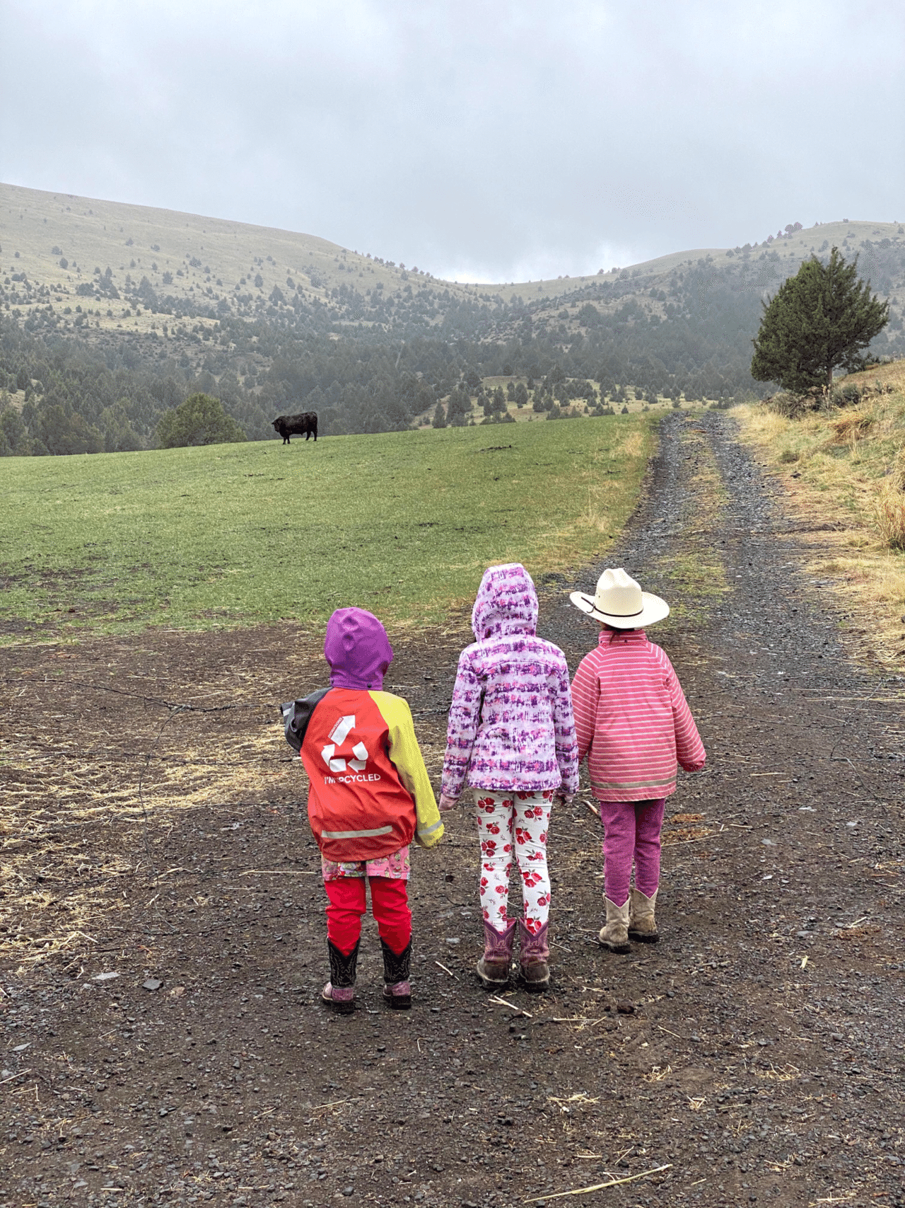 [オレゴン散策]Fossil Oregon オレゴン州フォッシルの風景｜nono