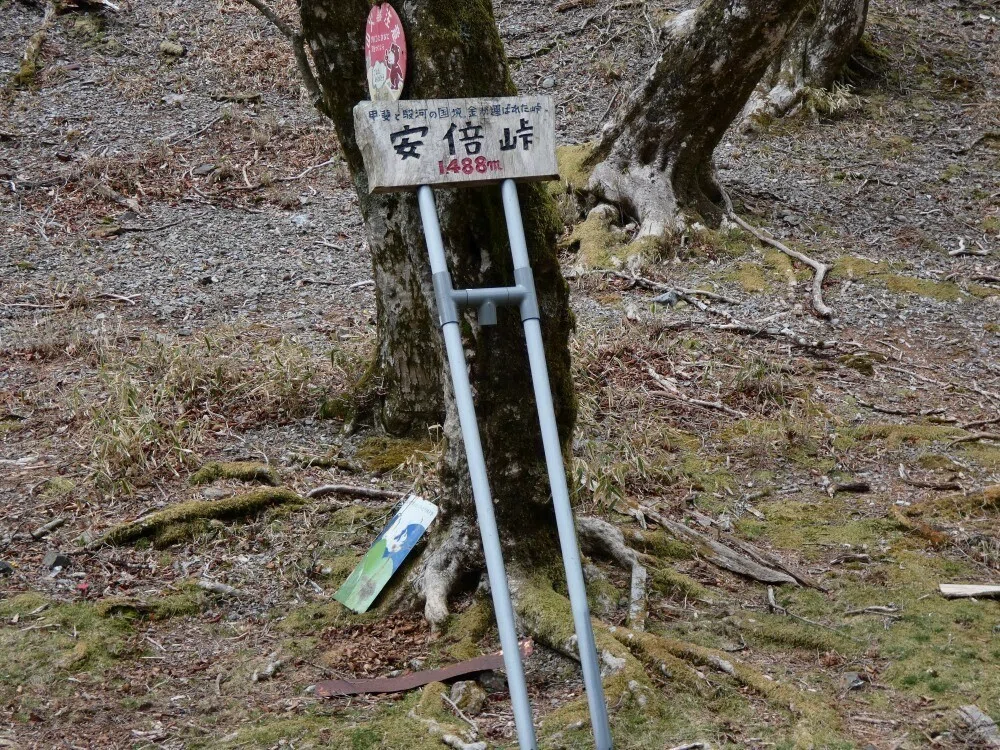 画像21