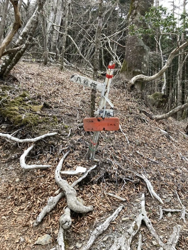 画像27