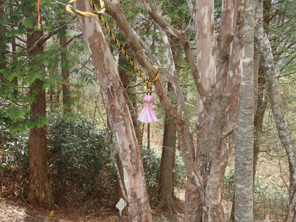 画像28