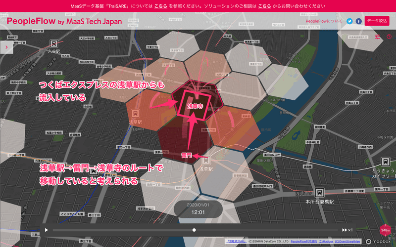 浅草寺20200101-1200_pink
