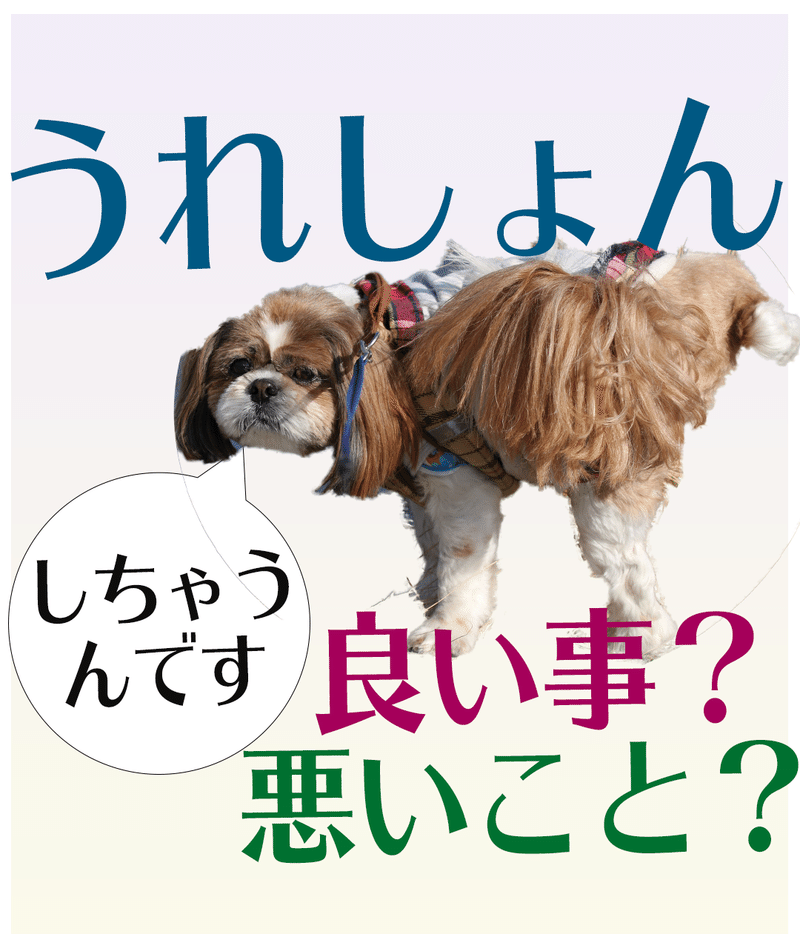 うれしょんって良いこと 悪いこと 犬ラブ Note