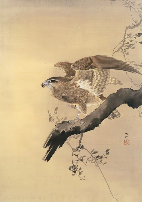 東京の鷹匠 鷹狩りの歴史とともに 鷹匠と鷹狩 Takajo and Japanese falconry｜谷 佳世子