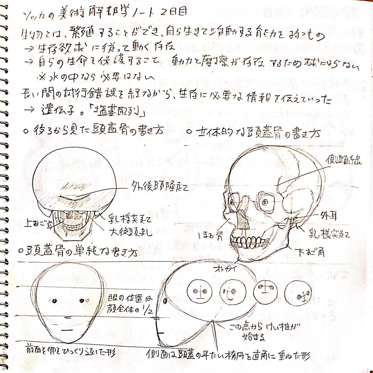 同人字書きが絵の練習をして半年が経った ネネンネ Note