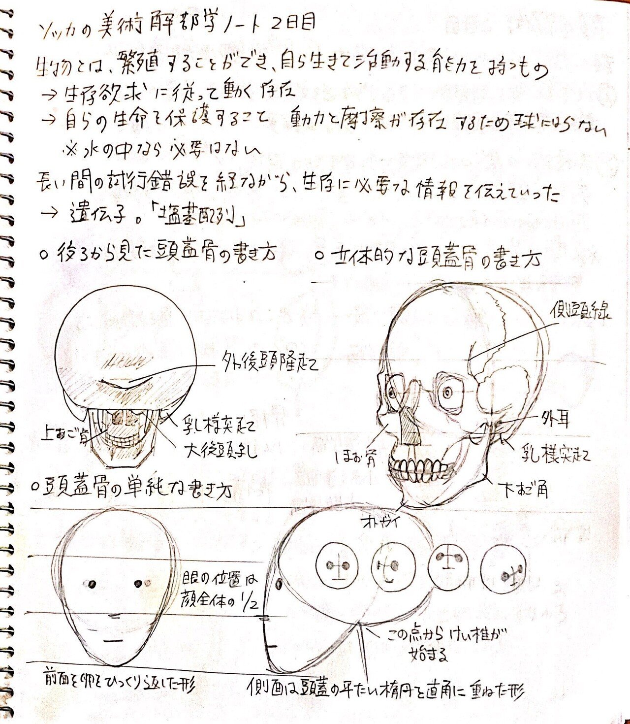 同人字書きが絵の練習をして半年が経った ネネンネ Note 同人字書きが絵の練習をして半年が経った ネネンネ Note