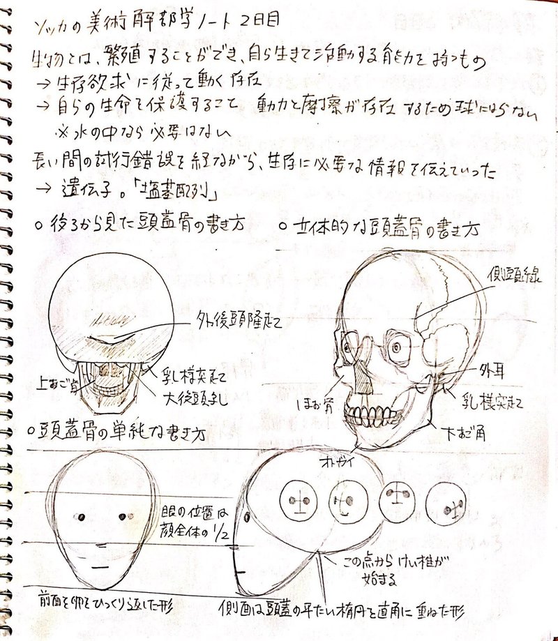 同人字書きが絵の練習をして半年が経った ネネンネ Note