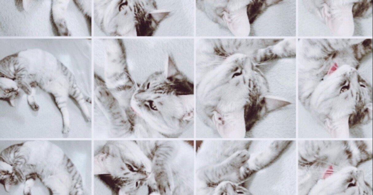 ママ友付き合いに疲れたら美輪明宏氏の教え 人間関係は腹六分 に従うのが得策 野宮 And Your Bird Can Sing Note