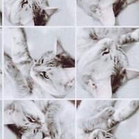 Atフィールド Absolute Terror Field 絶対不可侵領域 について自分なりの感想 高山啓 Note