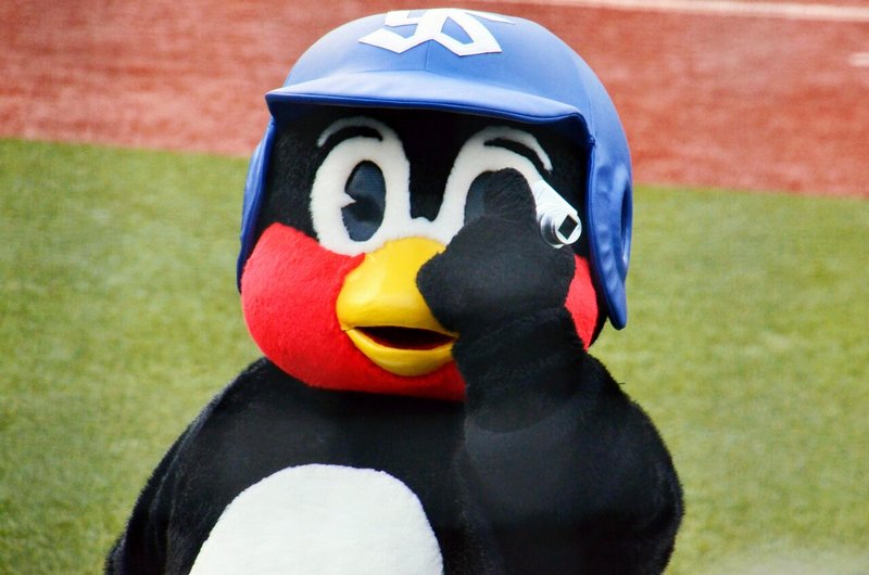 神宮球場に棲む愛しき鳥よ 若葉 都 Note