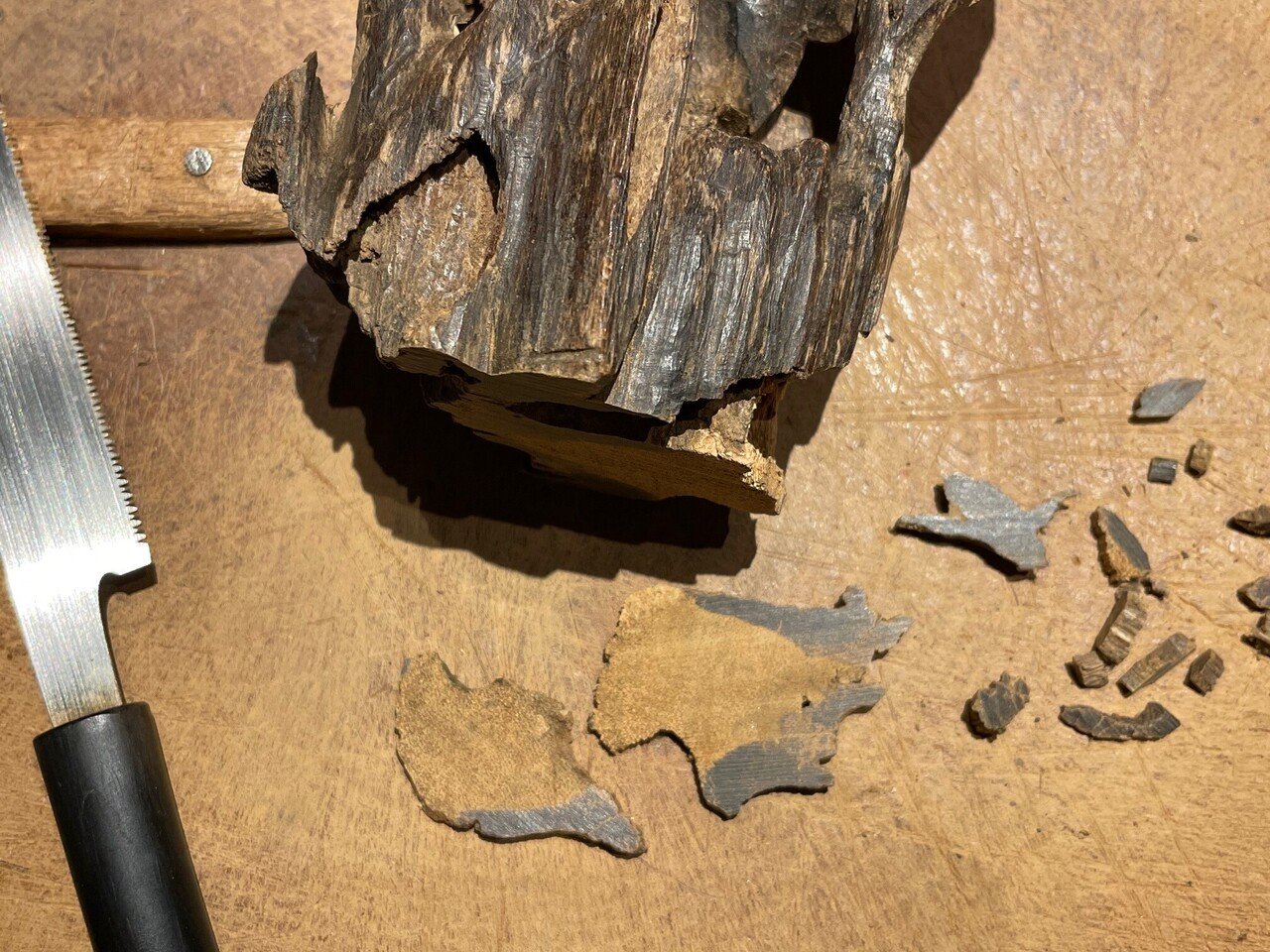 5月の推奨香木は、「伽羅立ちの羅国」！｜山田眞裕（麻布 香雅堂 主人）