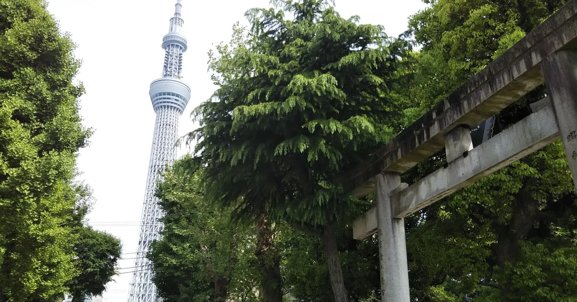 なぜ合気道における正勝吾勝勝速日命は重要なのか を妄想した 合気道化師マツリくん Note なぜ合気道における正勝吾勝勝速日命は重要なのか を妄想した 合気道化師マツリくん Note
