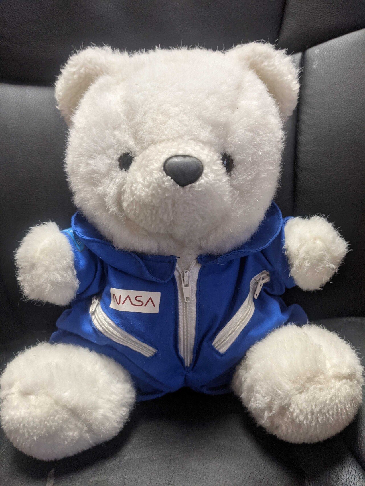 NASAからクマを連れて帰った話｜ほさかなお