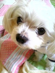 四字熟語 の新着タグ記事一覧 Note つくる つながる とどける 四字熟語 の新着タグ記事一覧 Note つくる つながる とどける