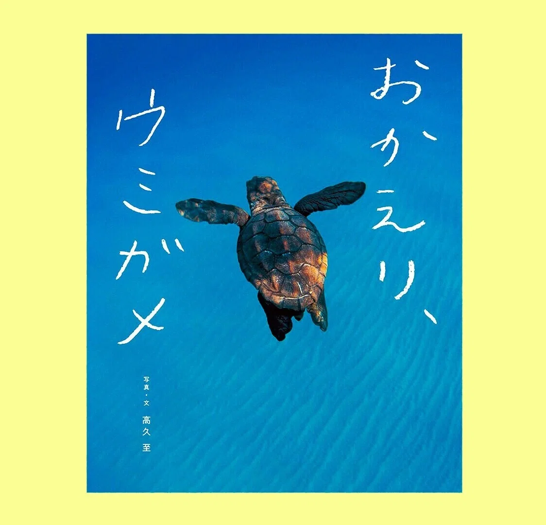 おかえり、ウミガメ」を拝読して｜エバーラスティング・ネイチャー