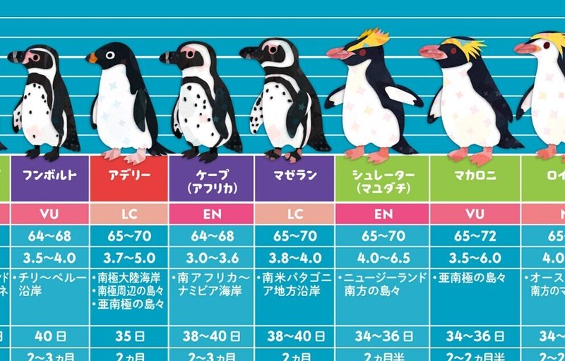 世界のペンギン全18種のイラスト キクチミロ Note